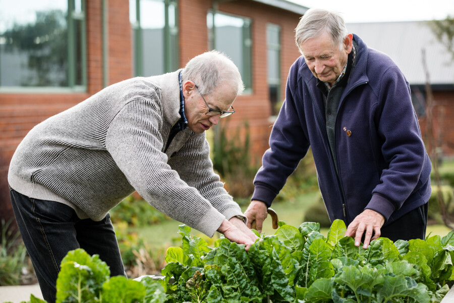 Community raised garden beds
