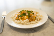 Uploads/Food-16-v2.jpg